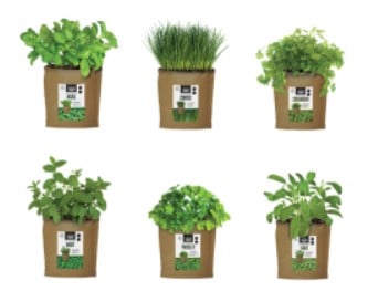 pouch gardens