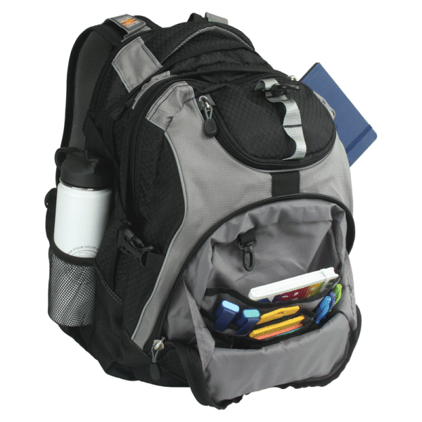 High Sierra Access 17 Computer Backpack