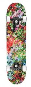 Floral Craze
