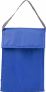 Cooler/lunch bag.