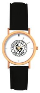 Alloy/Cowhide Leather Aspen Watch