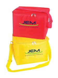 6 Can Cooler Bag