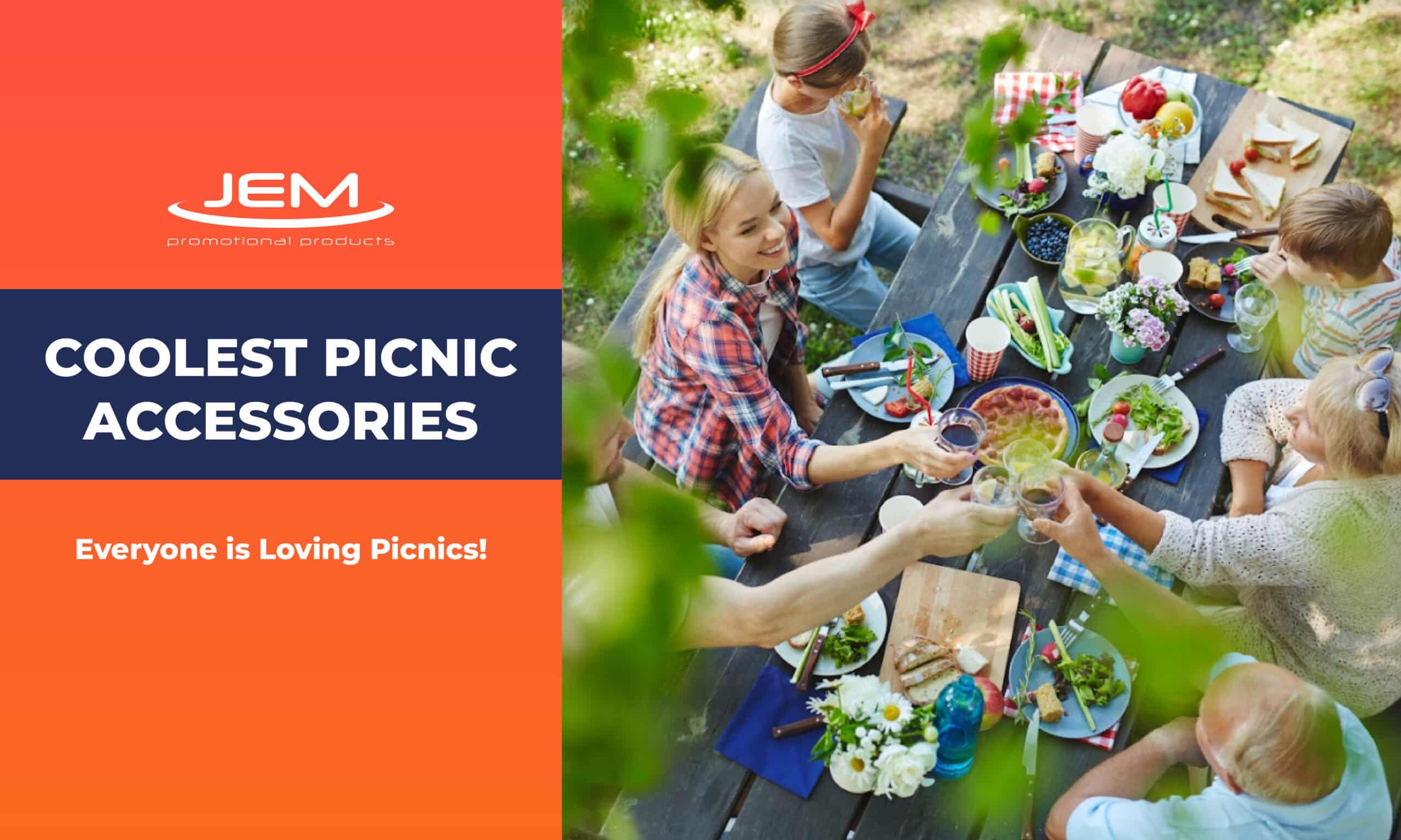 COOLEST PICNIC ACCESSORIES