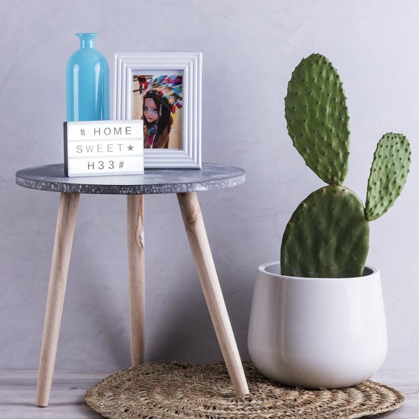 Light Box - Image 4