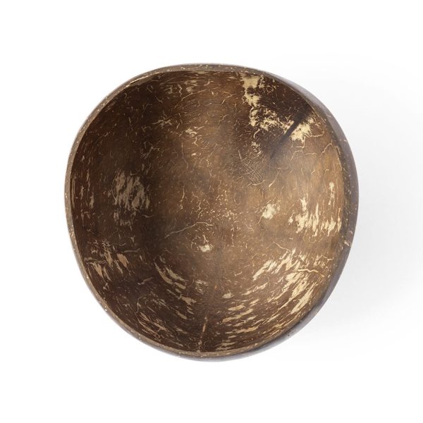 Coconut Bowl - Image 3