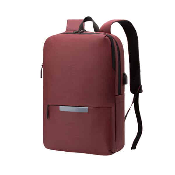 Business Backpack with USB Charging