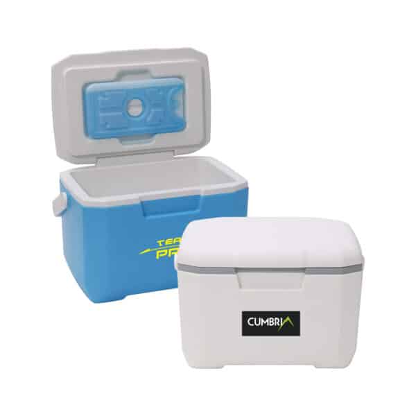 6L Cooler Box