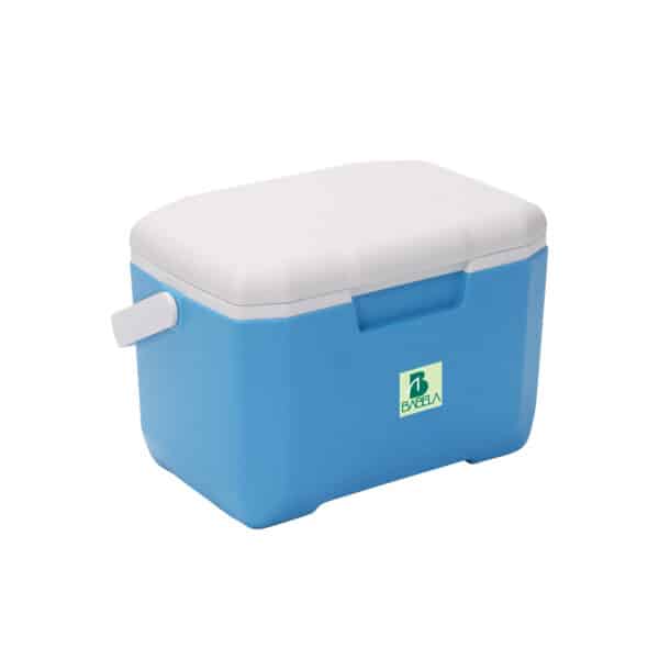 6L Cooler Box