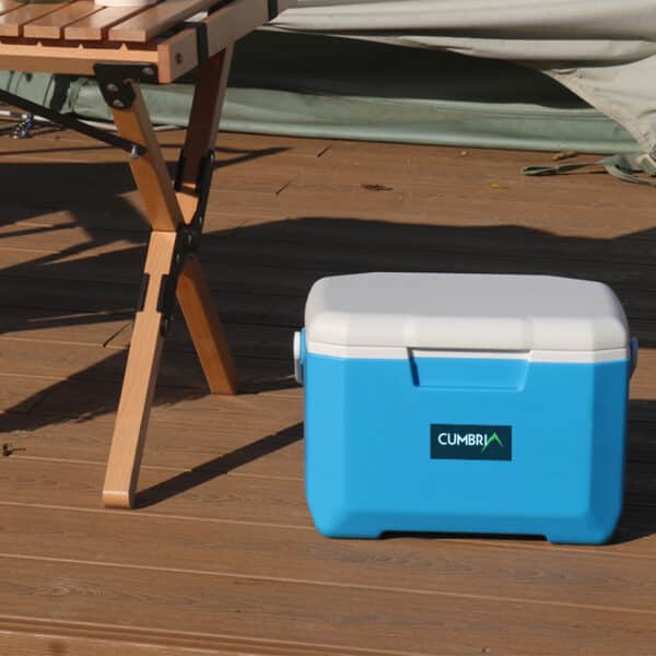 6L Cooler Box