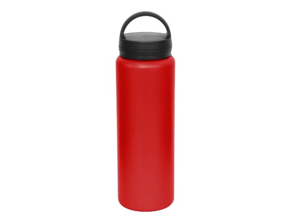 Austin 1lt Carry Lid Bottle