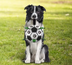 Dog Soccer Ball With Grab Tabs