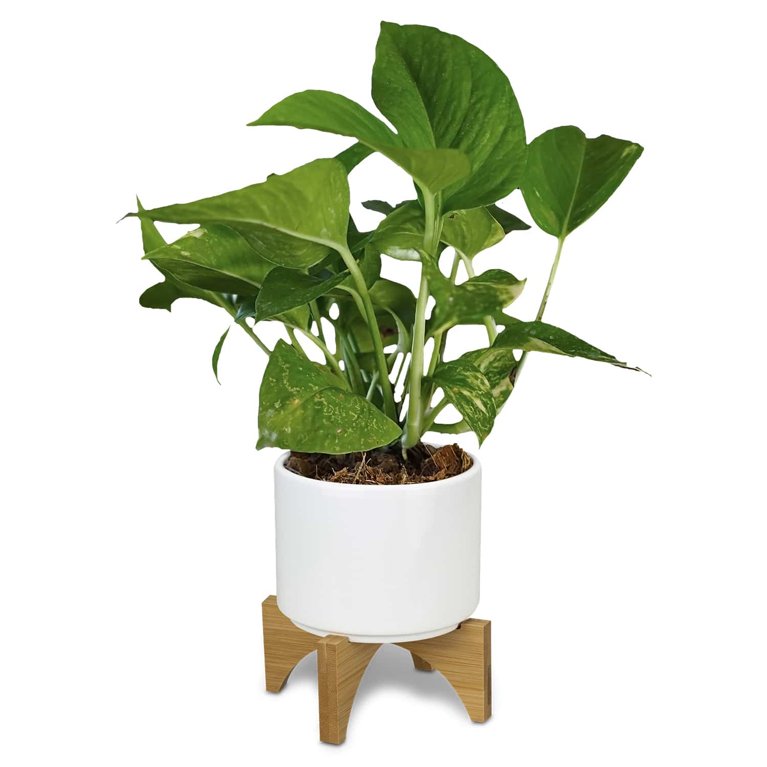 100 Christmas Corporate Gifts Countdown 2025 – Idea #82 Planter with Bamboo Base