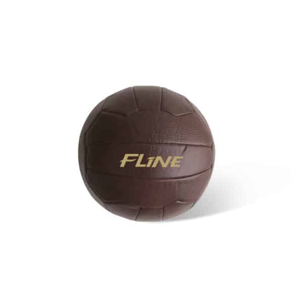 Vintage Soccer Ball