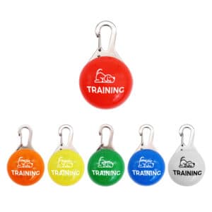 Dog Walking LED Light